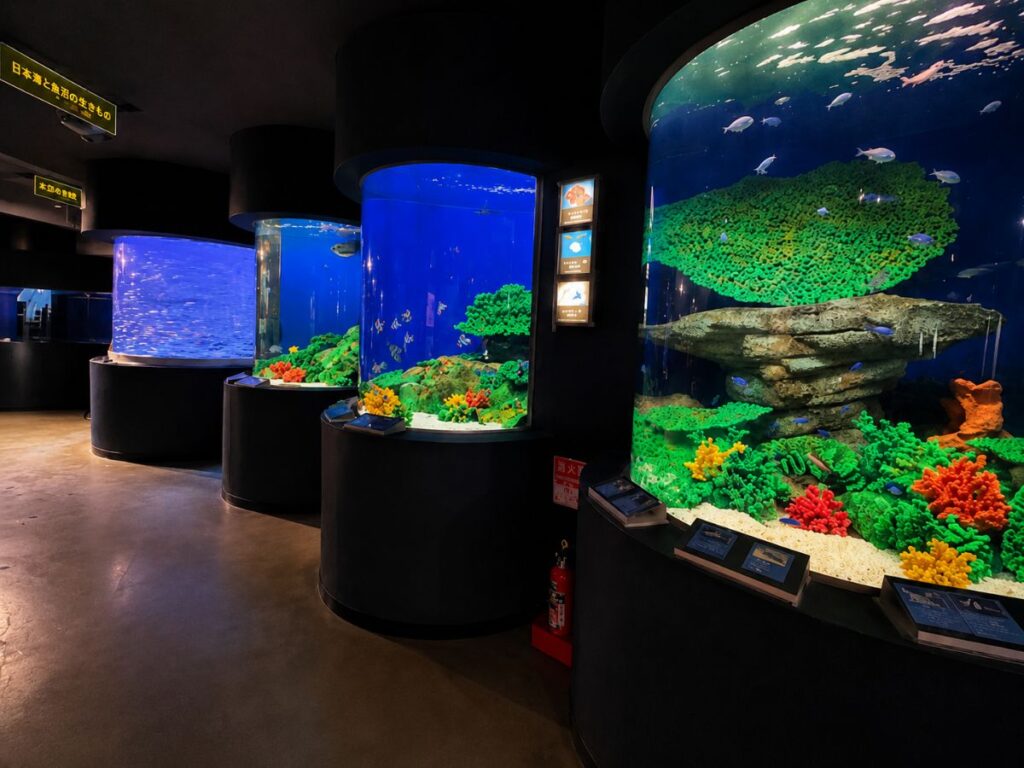 水族博物館